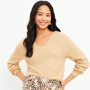 Shimmer Stitch V-Neck Sweater size XS